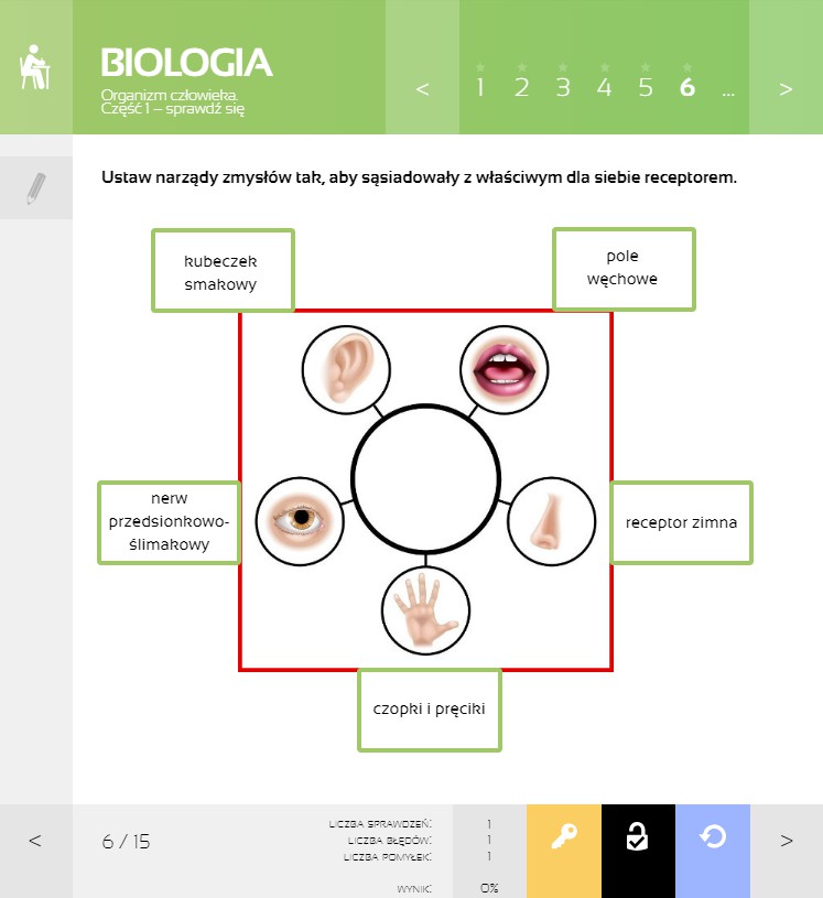 MPP Biologia - narządy zmysłów i receptory, Organizm człowieka cz. 1
