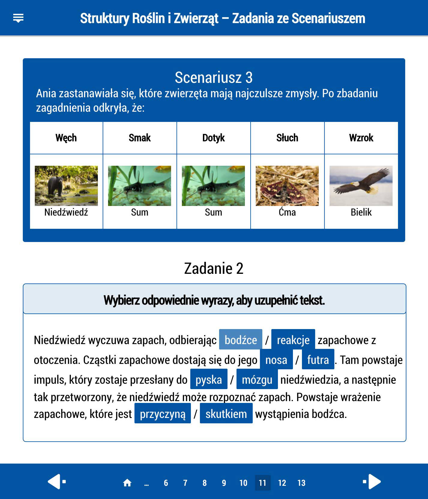 LaboLAB Struktury roślin i zwierząt - cyfrowy podręcznik ucznia